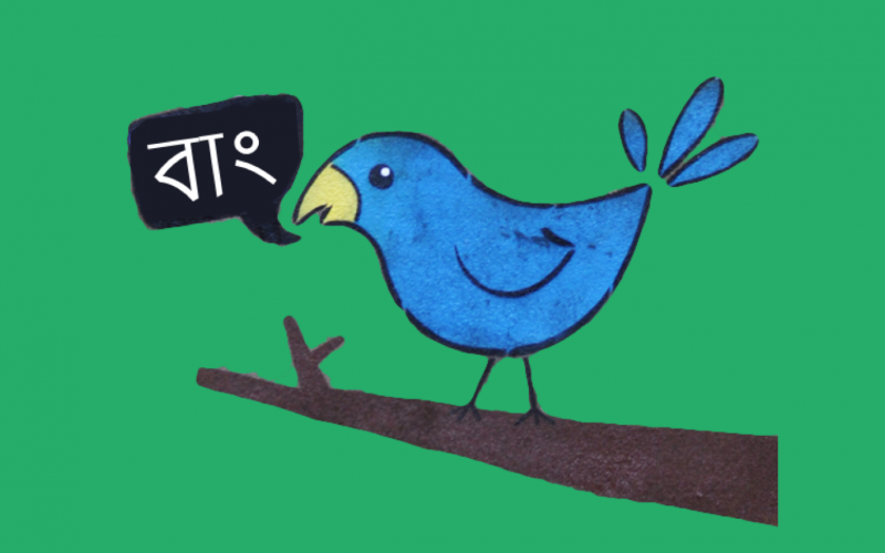 Tweeting Bird Image